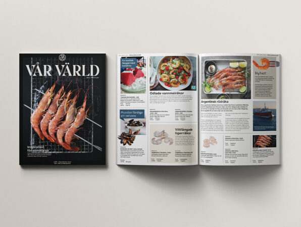 Vår värld magasinlayout